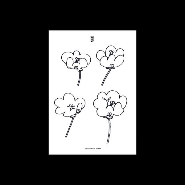 Lawrence – Poppies