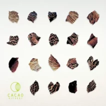 Leo Leonski, Shoao - Acid Gato [Cacao Records]