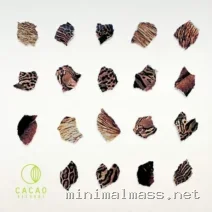 Leo Leonski, Shoao – Acid Gato cover