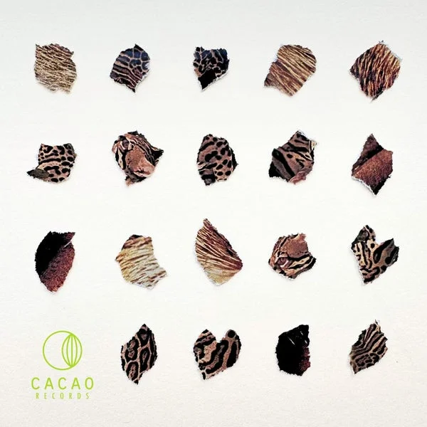 Leo Leonski, Shoao – Acid Gato