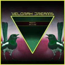 Magpie - Driving (Extended Mix) [Velorah Dreams]