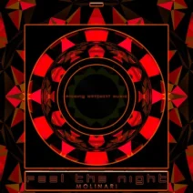 Molinari - Feel the Night [Flowing Movement Music]