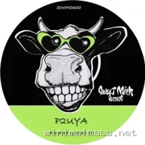 P2UYA – Elevated Grooves EP cover
