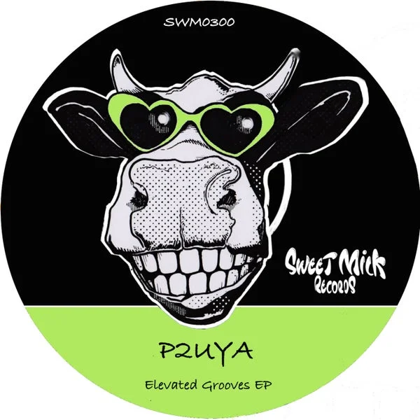 P2UYA – Elevated Grooves EP