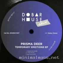 Prisma Deer – Temporary Emotions EP cover