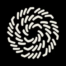 Ribé, Roll Dann - Virtus Occulta [Mutual Rytm]