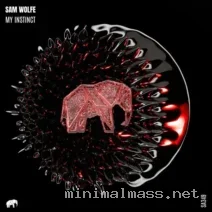 Sam WOLFE – My Instinct cover