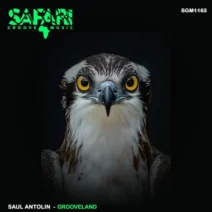 Saul Antolin - Grooveland [Safari Groove Music]