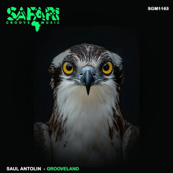 Saul Antolin – Grooveland
