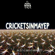 Sebastian Feldmann – Crickets in May Ep cover