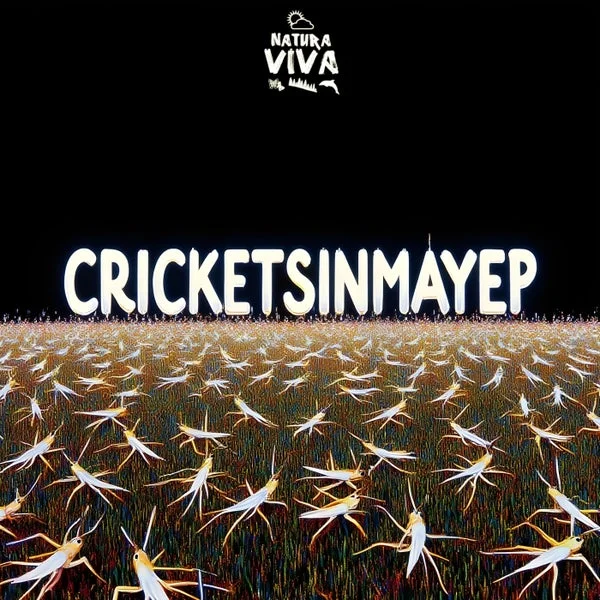 Sebastian Feldmann – Crickets in May Ep