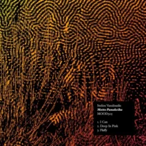 Stelios Vassiloudis - Motto Panukeiku [Moodmusic]