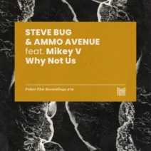 Steve Bug, Mikey V, Ammo Avenue - Why Not Us [Poker Flat Recordings]