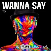 TK9 – Wanna Say cover