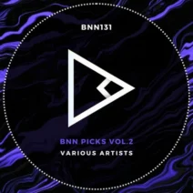 VA - BNN Picks, Vol. 2 [BNN RECORDS]