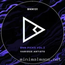 VA – BNN Picks, Vol. 2 cover