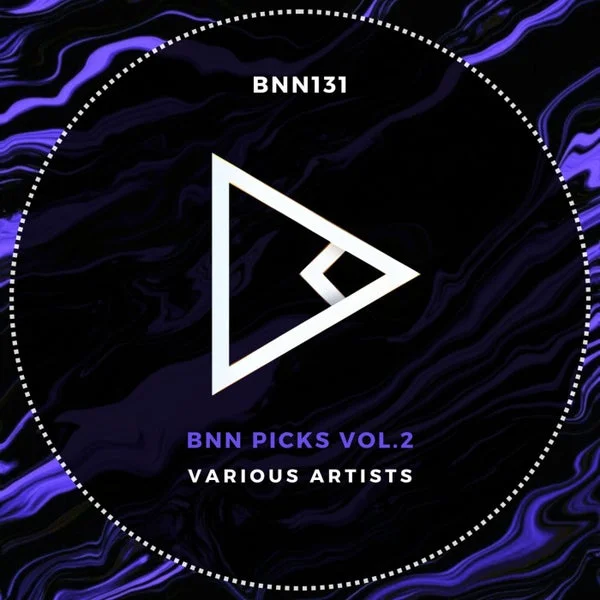 VA – BNN Picks, Vol. 2