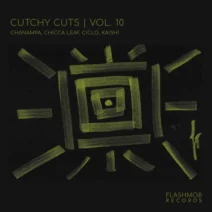 VA - Catchy Cuts, Vol. 10 [Flashmob Records]