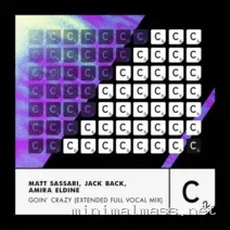 David Guetta, Matt Sassari, Jack Back, Amira Eldine – Goin’ Crazy (Extended Full Vocal Mix) cover