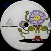 VA - Groove Awakening [Digital Delight]