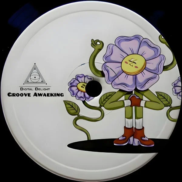 VA – Groove Awakening