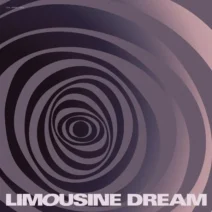 VA - Life Spiral [Limousine Dream]