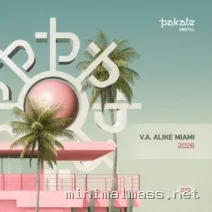 VA – Pakate Alike – Miami 2026 cover