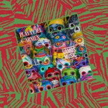 VA - Playa Del Carmen 2026 [Vamos Music Talents]