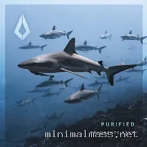VA – Purified Fragments XXXV cover