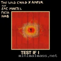 Amper, The Wild Child, Prïa, NAB (TN), Zac Martel – Test If I cover