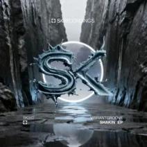 Vibrantgroove - Shakin [SK Recordings]