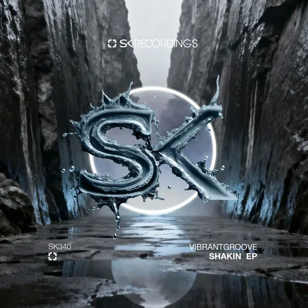 Vibrantgroove – Shakin