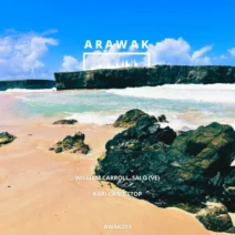 William Carroll, SALO (VE) - Kari Can't Stop [Arawak Records]