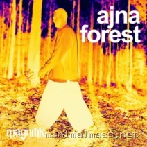 Ajna (BE) – Forest cover