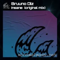 Bruuno Diz – Insane cover