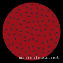Cicuendez – Room in the cellar cover