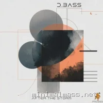 D.bass – After The Storm cover