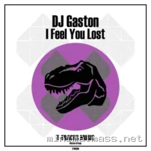 DJ Gaston – I Feel You Lost cover