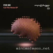 Fer BR – Cut The Noise cover
