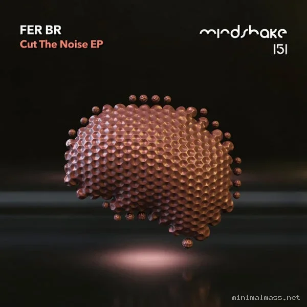 Fer BR – Cut The Noise