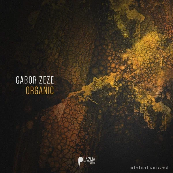 Gabor ZEZE – Organic