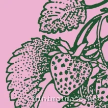 Johannes Albert – Patterns cover