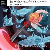 Juan Brizuela, Silvestre (KG) – Illusions cover