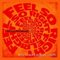 Kimonos, Josh Gigante – Feel So Right cover