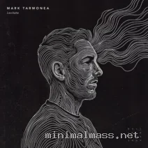 Mark Tarmonea – Levitate cover