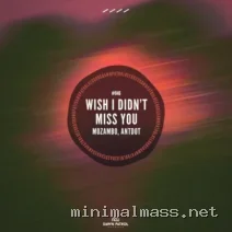 Mozambo, Antdot – Wish I Didn’t Miss You cover