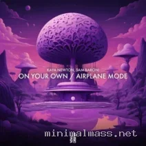 Sam Baroni (US), Kaya Newton – On Your Own Airplane Mode cover