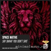 Space Native – Say (What You Don’t Say) cover