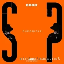 Stereoporno – Chronicle cover