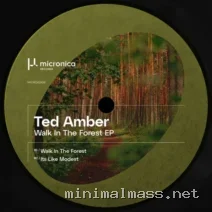 Ted Amber – Walk In The Forest EP cover